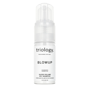 Сухой шампунь для объема волос Blowup Triology 18 г