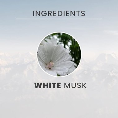 Крем-піна для душу Tesori d’Oriente White Musk (Білий Мускус), 500 мл