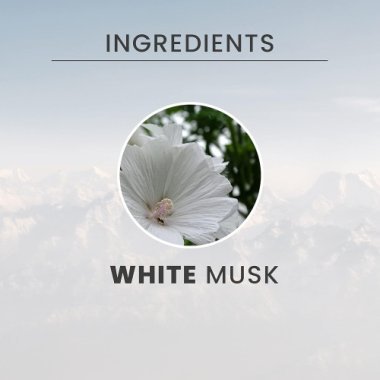 Крем-гель для душа Tesori d’Oriente White Musk (Белый Мускус), 250 мл